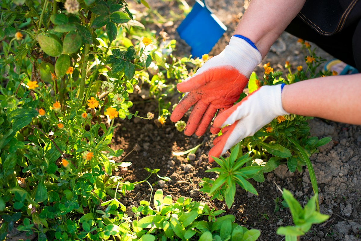 Giardino rigoglioso in tutte le stagioni