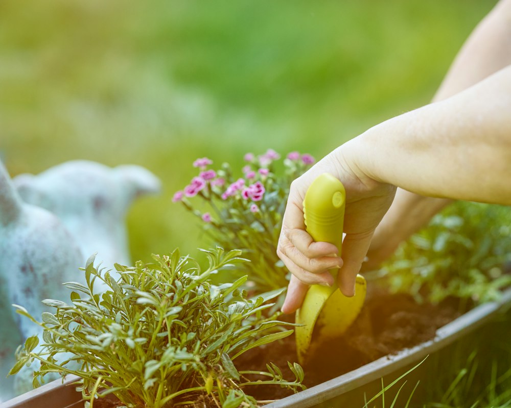 Preparazione del terreno e compostaggio